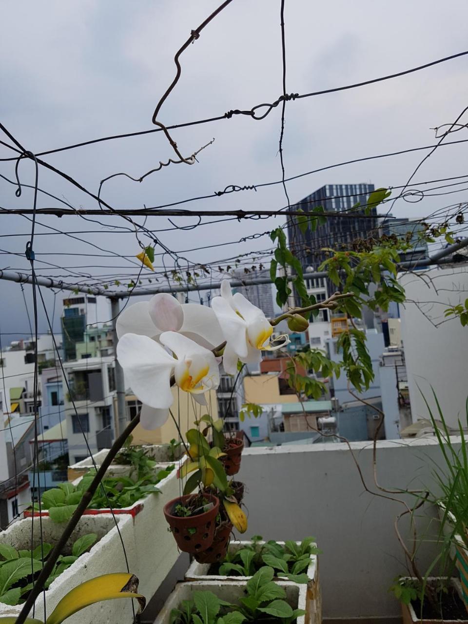 Апартаменти Urban House Saigon 2 Хошимін Екстер'єр фото